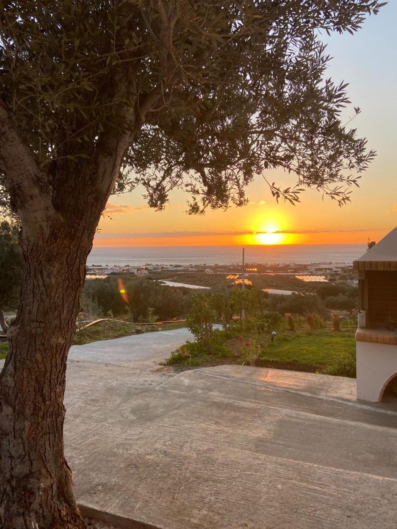 Villa Casa di Olive Goudhouros Esterno foto